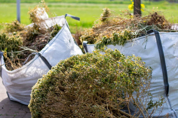 Junk Removal for Events in Apollo Beach, FL
